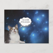 Funny Cat Star Gazer Briefkaart (Voorkant)