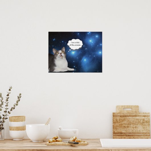 Funny Cat Star Gazer Poster (Keuken)