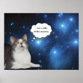 Funny Cat Star Gazer Poster (Voorkant)