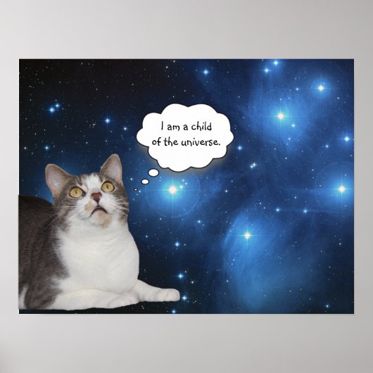 Funny Cat Star Gazer Poster (Voorkant)