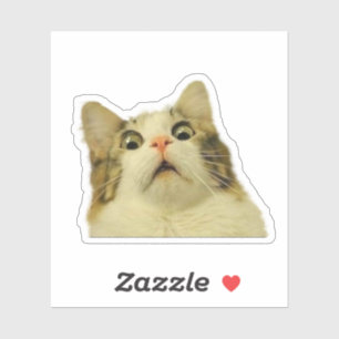 Funny Cat Sticker