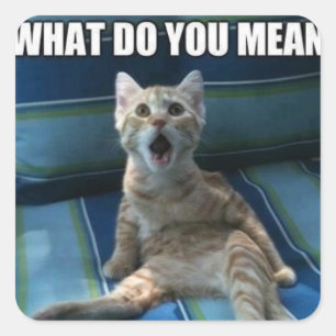 Funny cat stickers