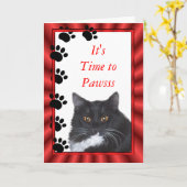 Funny Cat Sylvester-kaart past elke keer aan Kaart (Gele Bloem)