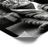 Funny Cat Taking A Selfie Christmas Xmas Pajamas H Poster (Hoek)