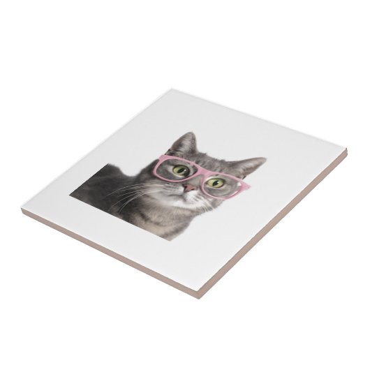 Funny cat tegeltje (Zijkant)