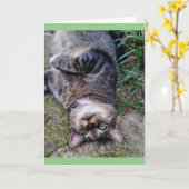 Funny Cat TENS unit Kaart (Gele Bloem)