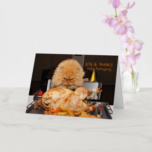 Funny Cat Thanksgiving briefkaart (Orchidee)