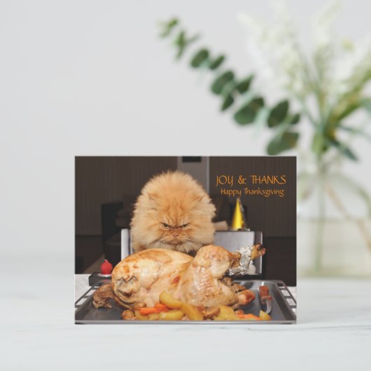 Funny Cat Thanksgiving briefkaart (Staand voorkant)