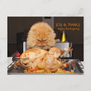 Funny Cat Thanksgiving briefkaart