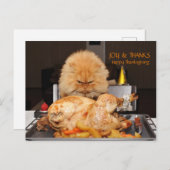 Funny Cat Thanksgiving briefkaart (Voorkant / Achterkant)