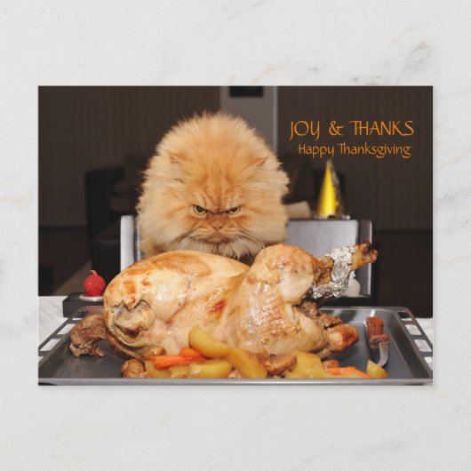 Funny Cat Thanksgiving briefkaart (Voorkant)