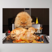 Funny Cat Thanksgiving Poster (Voorkant)