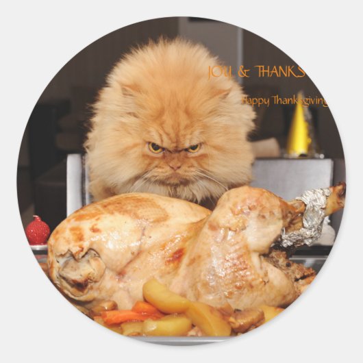 Funny Cat Thanksgiving Ronde Sticker (Voorkant)