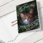 Funny Cat Tree Ornamenten Geschiedenis Kerstmis Ka Feestdagen Kaart<br><div class="desc">als je een kat hebt (of je beoogde ontvanger), weet je zeker hoe goed ze zich gedragen als het gaat om glanzend of gevlekt betwist dat ze van een tak binnen handbereik hangen (of volledig buiten redelijke grenzen), dan heeft de voorkant van dit wenskaart een afbeelding van een kat die...</div>