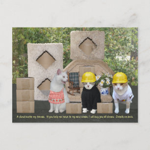 Funny Cat Uitnodiging om te helpen