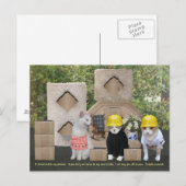 Funny Cat Uitnodiging om te helpen (Voorkant / Achterkant)