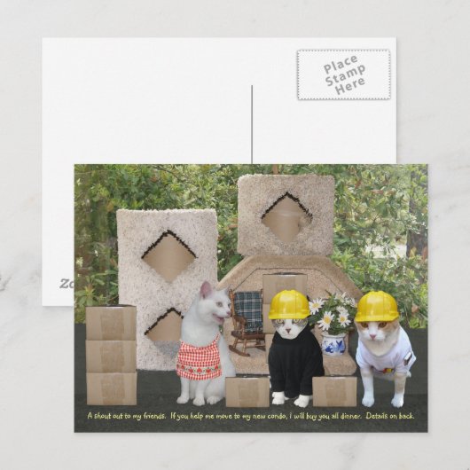 Funny Cat Uitnodiging om te helpen (Voorkant / Achterkant)