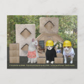 Funny Cat Uitnodiging om te helpen (Voorkant)