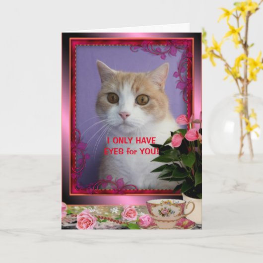  Funny Cat Valentijn Kaart (Gele Bloem)