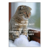 Funny Cat Valentijnsdag Meme Single (Voorkant)