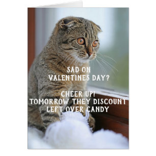 Funny Cat Valentijnsdag Meme Single