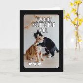 Funny Cat valentine's day cards Kaart (Gele Bloem)