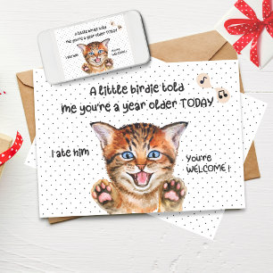 Funny Cat Verjaardag Kaart   Een klein vogeltje ve
