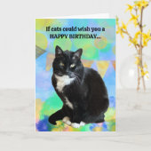 Funny Cat Verjaardag Kaart van de poes (Gele Bloem)