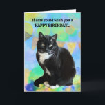Funny Cat Verjaardag Kaart van de poes<br><div class="desc">Grappige verjaardagskaart van de kat! Deze kaart kan worden aangepast met uw persoonlijke bericht. Maak het van jou in plaats daarvan!</div>