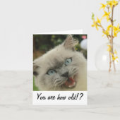 Funny cat-verjaardagskaart kaart (Gele Bloem)