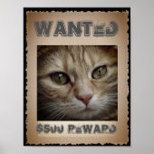 Funny Cat Wanted Poster (Voorkant)