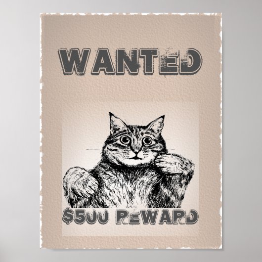 Funny Cat Wanted Poster (Voorkant)