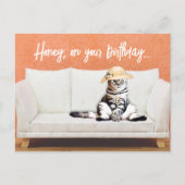 Funny Cat Wearing a Sun Pet on a Couch Birthday Briefkaart (Voorkant)