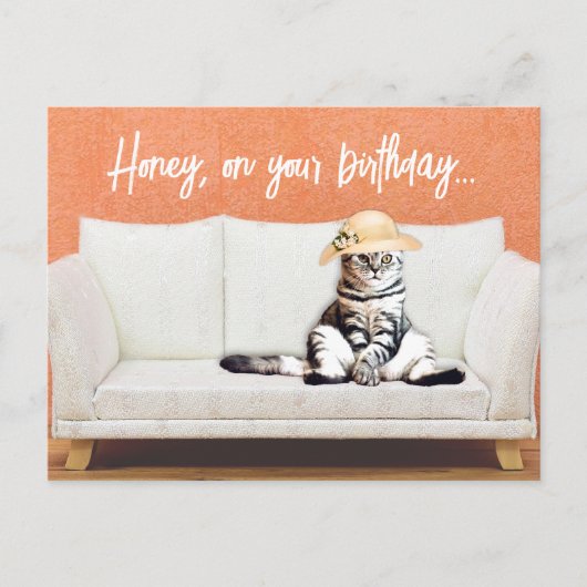 Funny Cat Wearing a Sun Pet on a Couch Birthday Briefkaart (Voorkant)