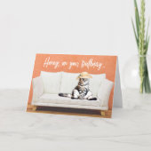 Funny Cat Wearing a Sun Pet on a Couch Birthday Kaart (Voorkant)