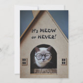 Funny Cat Wearing Glasses It's Meow or Nooit Quote (Voorkant)
