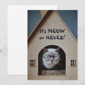 Funny Cat Wearing Glasses It's Meow or Nooit Quote (Voorkant / Achterkant)