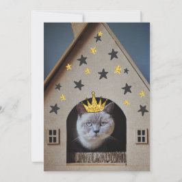 Funny Cat Wearing Golden Glitter Bling Crown