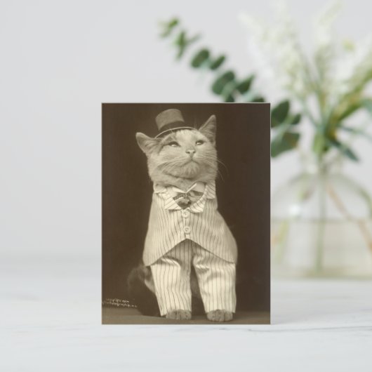 Funny  Cat Wearing Suit en Top Hat Briefkaart (Staand voorkant)