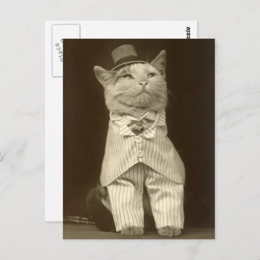 Funny Cat Wearing Suit en Top Hat Briefkaart (Voorkant / Achterkant)
