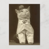 Funny Cat Wearing Suit en Top Hat Briefkaart (Voorkant)