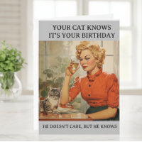 Funny Cat weet dat het je verjaardag is