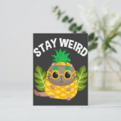 Funny Cat Weird Pineapple Mask Fruit Humor Briefkaart (Staand voorkant)