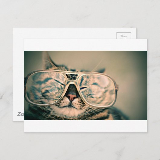 Funny Cat with Glasses Briefkaart (Voorkant / Achterkant)