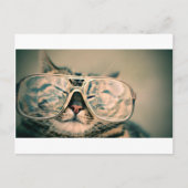 Funny Cat with Glasses Briefkaart (Voorkant)