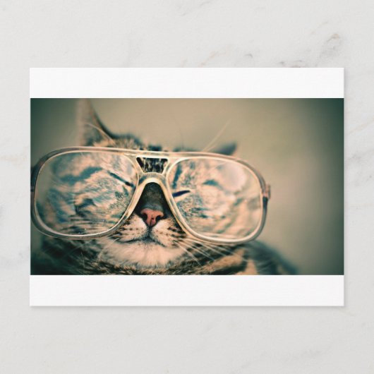Funny Cat with Glasses Briefkaart (Voorkant)