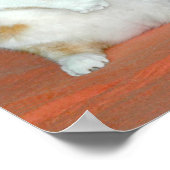 Funny Cat worstling Snake Poster (Hoek)