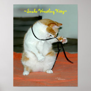 Funny Cat worstling Snake Poster