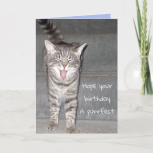 Funny Cat Yawning Birthday Kaart
