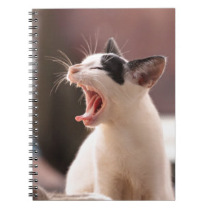 Funny Cat Yawning Notitieboek